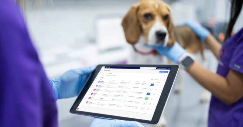 sistema de turnos online para veterinarias - Sistema de Turnos Online: la solución práctica para organizar tu agenda